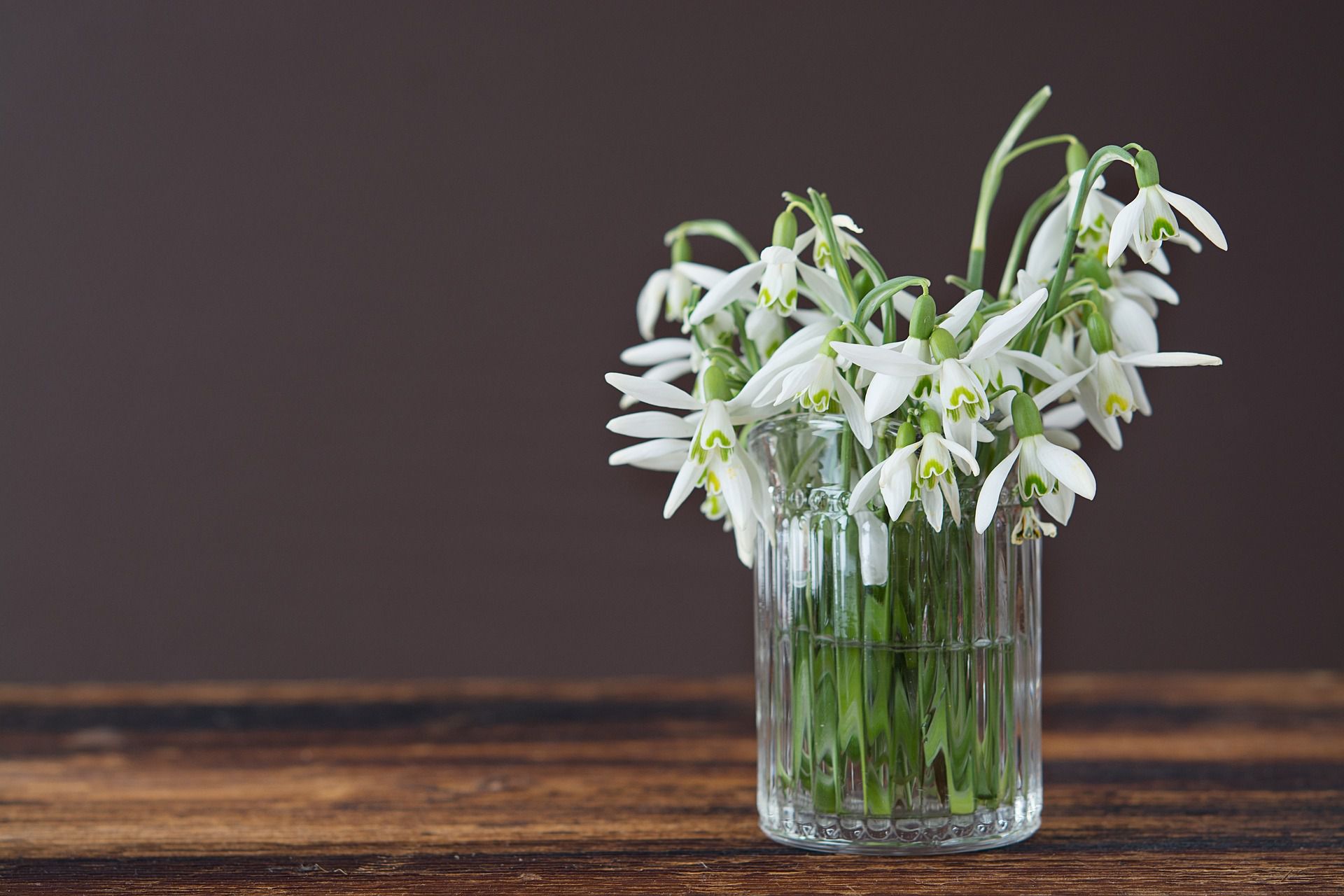 Spring flowers above an inset electric fire